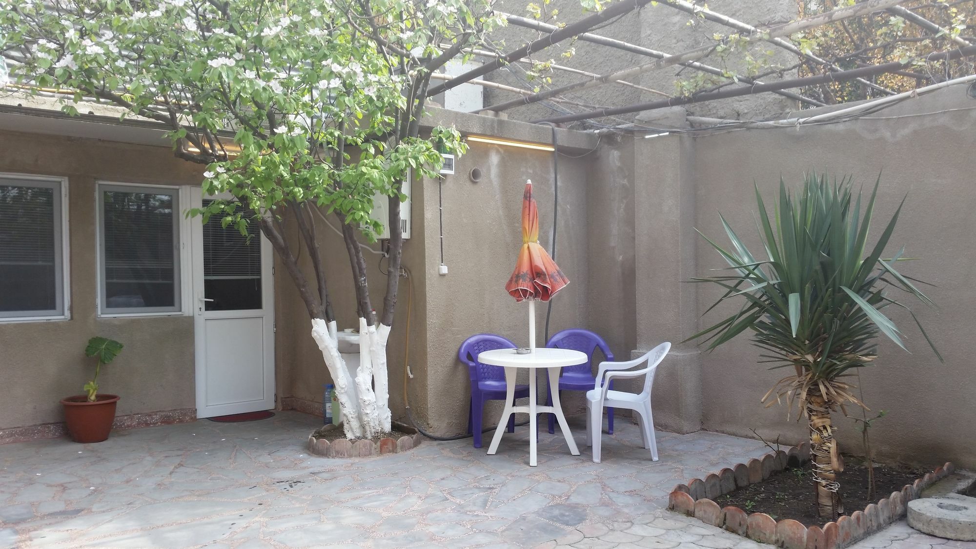 Guest House Spartak Τυφλίδα Εξωτερικό φωτογραφία